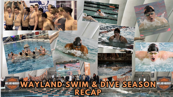 The swim and dive team had a successful run this last season, with the boys swim and dive team securing a state championship. 